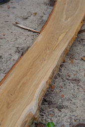 [Oak Lum Und 22x200x2500 AB 20%] Oak Lumber AB - Unedged (22x200upx2500up)